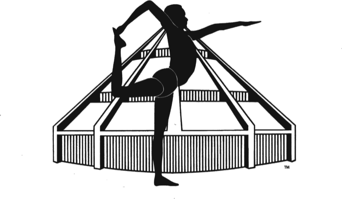 Marca oficial Certified Iyengar Yoga